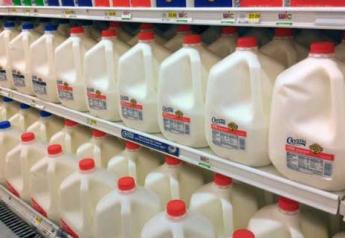 Milk_on_dairy_shelf_-_Copy