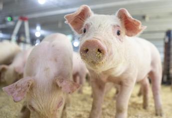 2019 University of Missouri Pork Institute applications are open.
