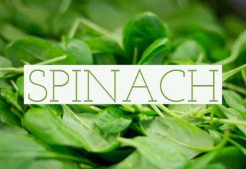 2019 Fresh Trends data on spinach