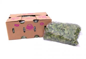 GreenGate Fresh adds foodservice cilantro, parsley