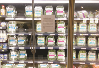 Romaine lettuce supplies return in post-purge push