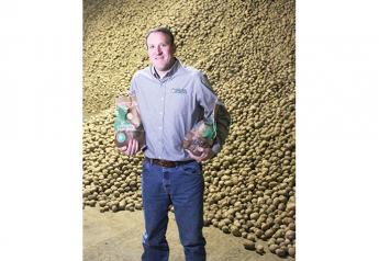 Spuds are value buy, even when prices rise