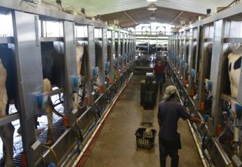 A new federal program to help hard-pressed dairy farmers is expected to be ready for enrollment in June 2019, as farmers undergo their fifth year of low milk prices that have driven thousands out of business. 