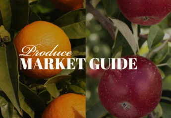 Move over, pumpkins: Oranges are in on Produce Market Guide