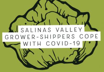 Salinas Valley grower-shippers cope with COVID-19
