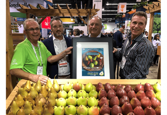 2019 Pear Retailer of the Year is Harris Teeter