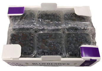 StePac’s Xflow system designed for blueberries