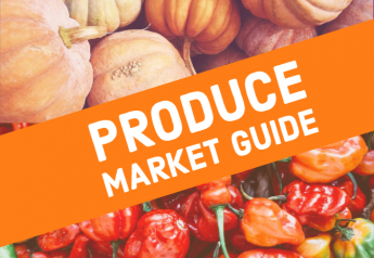It's all about pumpkins on Produce Market Guide