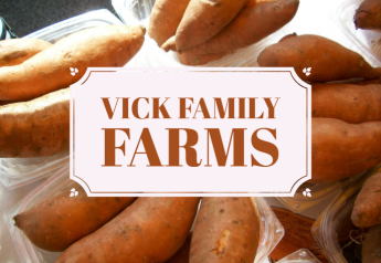 Vick Family Farms expands organics