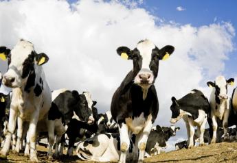 Advocates Point to Benefits of Large-Scale Farming For Dairies, Others