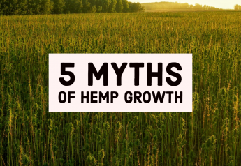 The 5 Myths of Hemp Growth