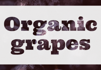 Anthony Vineyards features big organic grape fall volume