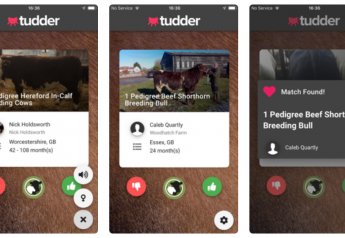 British Cows Get Own Tinder-Style App for Breeding