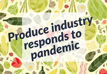 Companies give salads, mangoes and stress healthy eating in pandemic