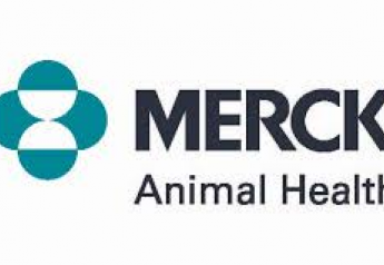 Merck Animal Health Awards Scholarships to Outstanding Vet Students