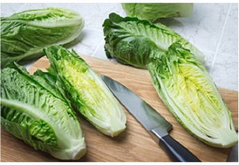 Web seminar looks at Romaine Task Force recommendations
