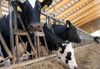 Methane Emissions From Dairy Cattle