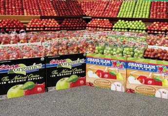 Organics continue to gain ground in Washington apple business