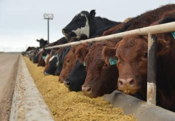 Cattle on feed numbers declined 1%.