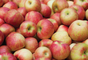 Newer apples crowding out traditional varieties