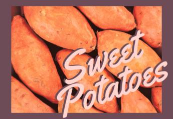 The latest sweet potato news and updates