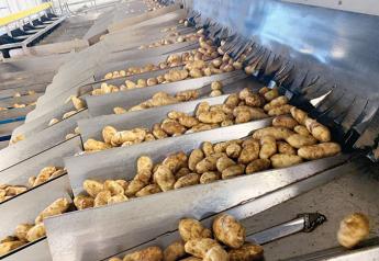 Potato exporters optimistic about 2020 shipments