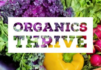 Organic category continues to thrive