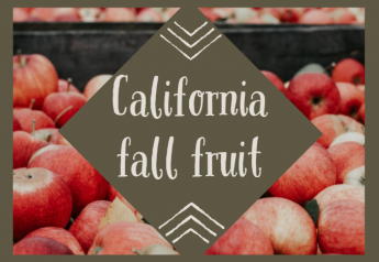 Fall presents abundant fruit promotions at retail