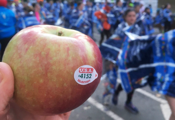 Apples hit the spot after New York City Marathon