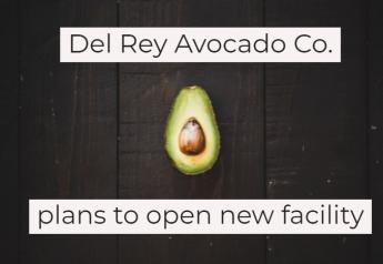 Del Rey Avocado plans to open new facility
