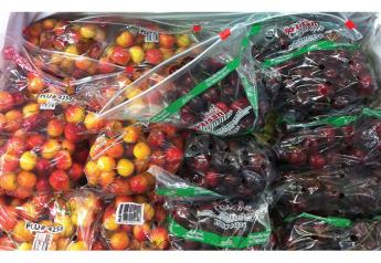 Northwest cherry suppliers predict busy retail season
