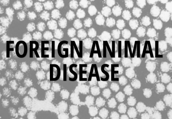 Don’t Forget About Foreign Animal Diseases