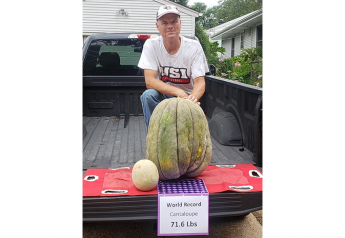 Photos: Cantaloupe sets new world record at more than 70 pounds