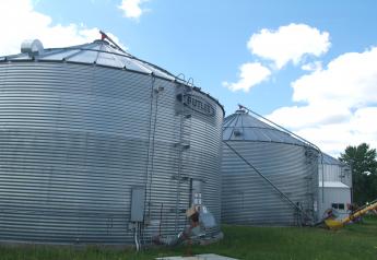 Grain Storage: 13 Signs Something Went Wrong 