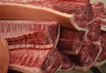 U.S. pork shipments to China fall to lowest ever -USDA