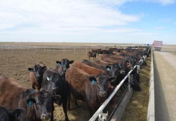 Technology can help prevent treating cattle that are not ill.