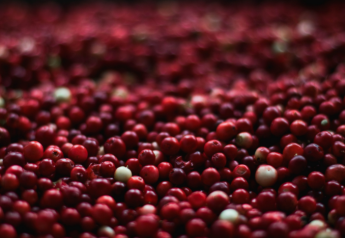 Cranberry Marketing Committee adds partners, promos