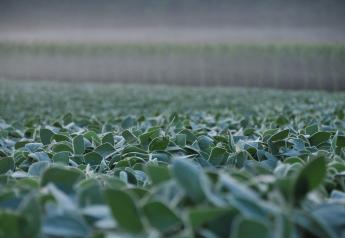 Mind nutrients to maximize soybean yields.