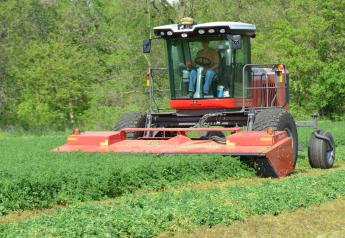 Stock photo of a swather cutting alfalfa. 