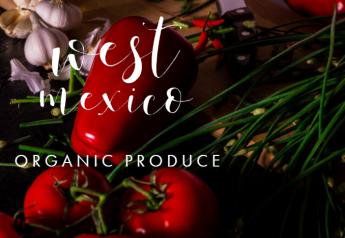 Organic volume from West Mexico grows