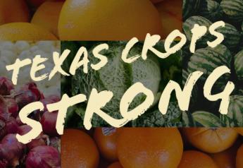 Texas growers look forward to strong season