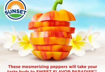 Mastronardi Produce's Sunset-brand Aloha peppers are competing in the Best New Vegetable Product category of the United Fresh Produce Association's Innovations Awards during the association's June 25-27 show in Chicago.