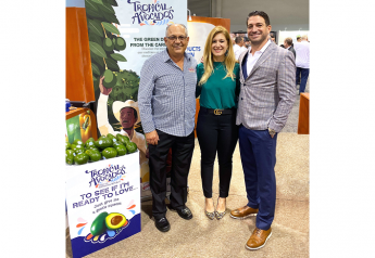 Dominican avocado supply ramps up for WP Produce