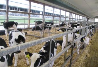 A recent study shows calves fed a high-volume milk ration for 8 weeks versus 6 showed better weight gain; higher starter grain and water intake before and after weaning; and exhibited fewer stress behaviors after weaning.