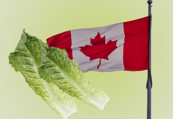 Canada issues public health notice on E. coli, romaine
