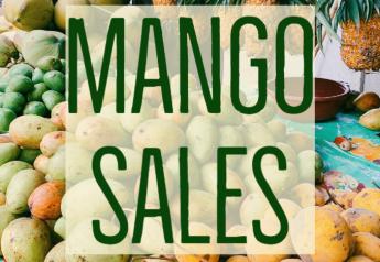 Retail mango sales grow