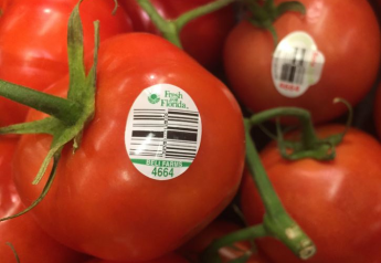 Florida tomato deal starts light but picks up steam