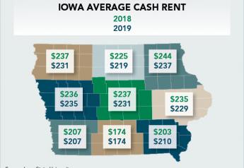 Iowa 2019 Cash Rents Drop 1%