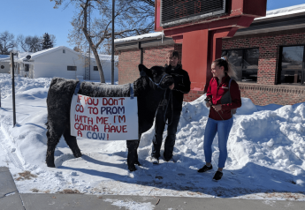 Montana Student Uses Show Steer In A “Prom-Posal”