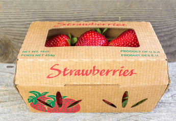 Variety, efficiency among produce packaging trends